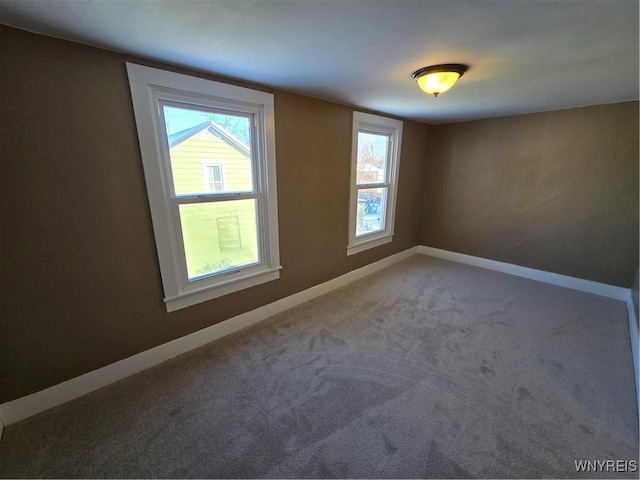 additional living space with carpet floors