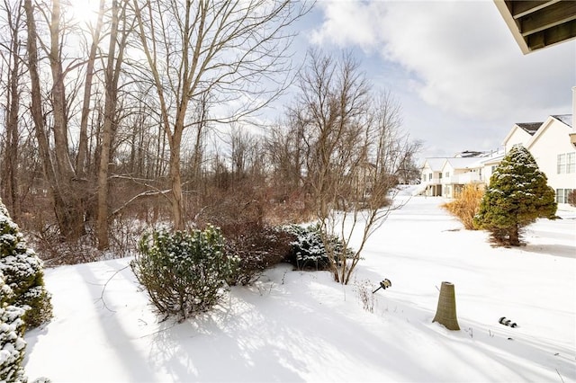 view of snowy yard