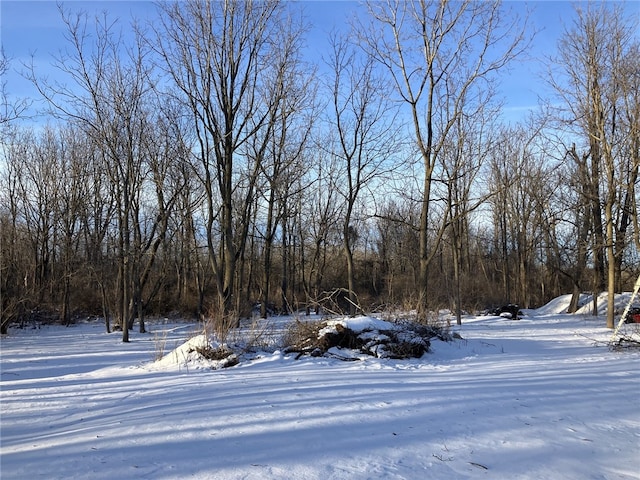 view of yard covered in snow