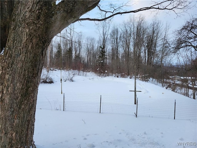 view of snowy yard