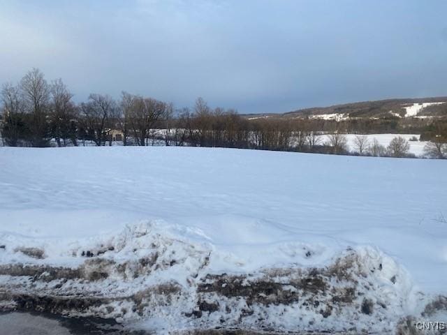 Listing photo 2 for Rowley Jerome Rd, Fabius NY 13063