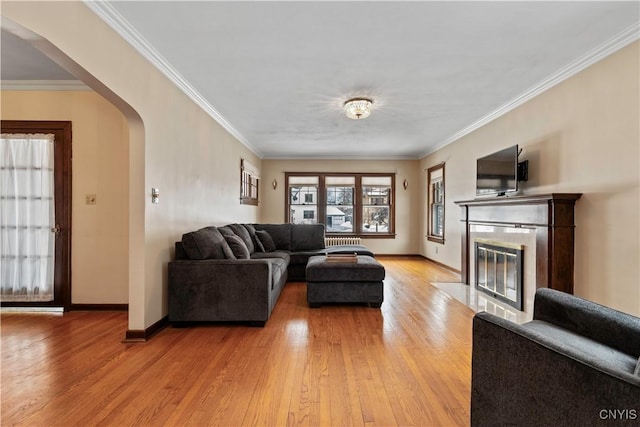 living room with ornamental molding, a fireplace, and light hardwood / wood-style flooring