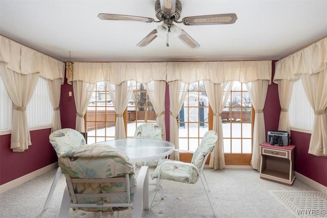 carpeted dining room featuring ceiling fan and a healthy amount of sunlight