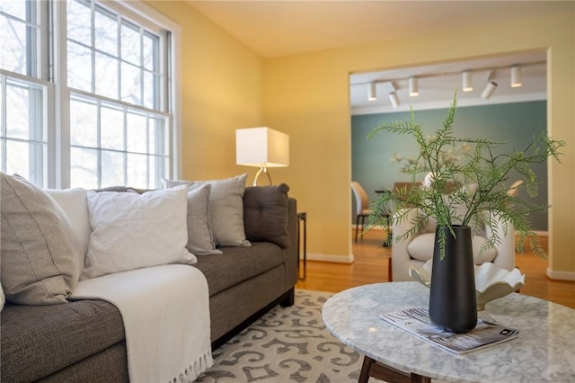 living room featuring light hardwood / wood-style flooring and rail lighting