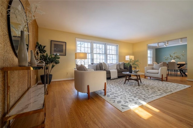 living room featuring hardwood / wood-style flooring and rail lighting