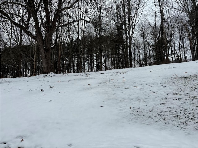 view of snowy yard