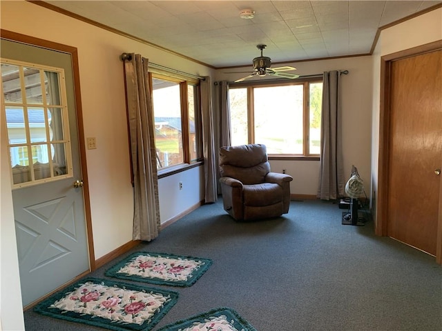 living area featuring ceiling fan, ornamental molding, and carpet floors