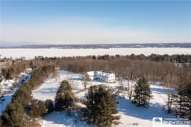 view of snowy aerial view