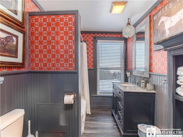 bathroom featuring vanity, toilet, and hardwood / wood-style floors