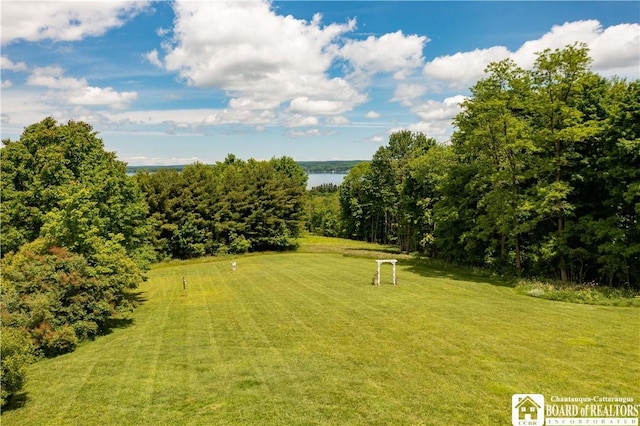 view of yard featuring a water view