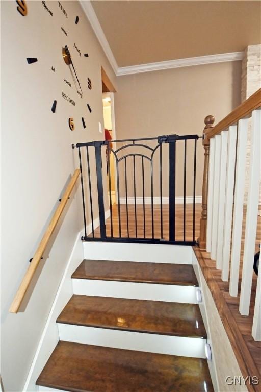 staircase featuring crown molding