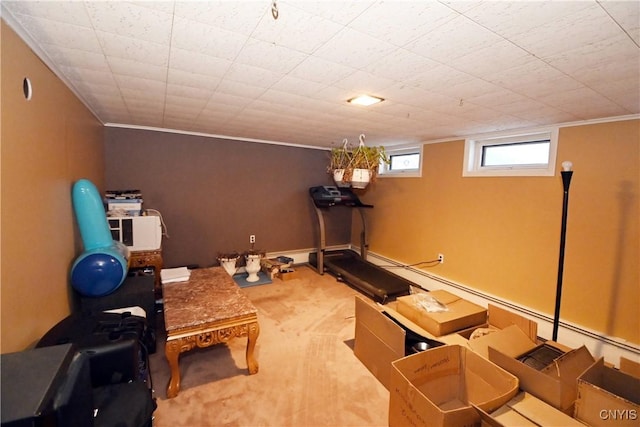 workout area with ornamental molding and carpet floors