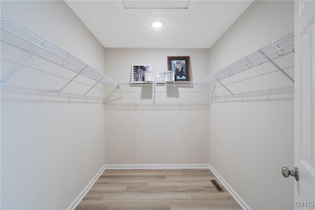 spacious closet featuring wood-type flooring