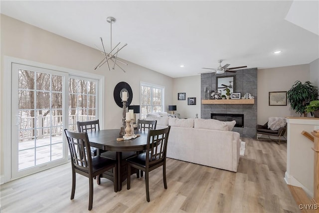 dining area with a tile fireplace, ceiling fan, and light wood-type flooring