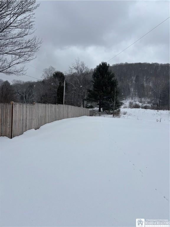 view of yard layered in snow