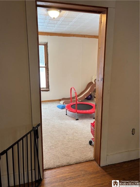 playroom with hardwood / wood-style flooring and ornamental molding