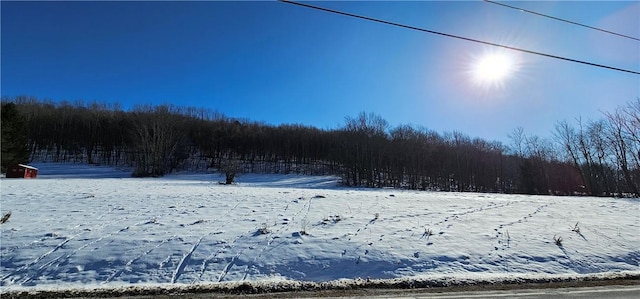 LOT7.4 Hankins Rd, NY, 12736 land for sale