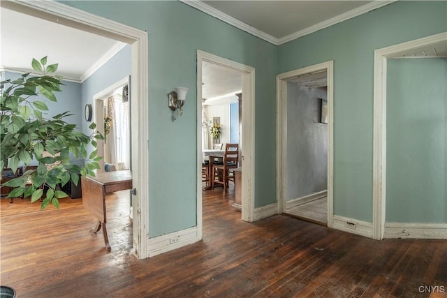 hall featuring crown molding and dark hardwood / wood-style flooring