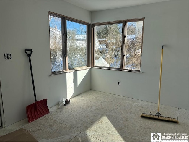 spare room with a wealth of natural light