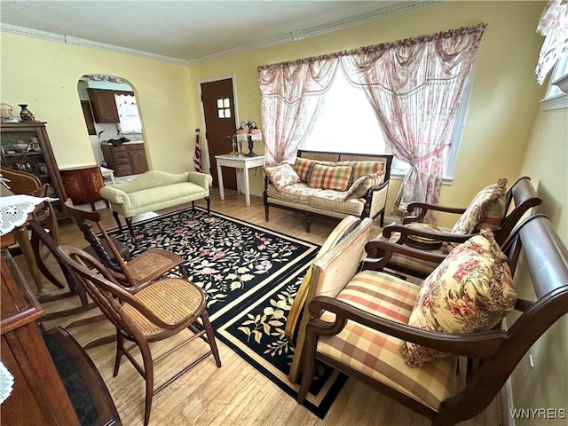 living room featuring ornamental molding, plenty of natural light, and hardwood / wood-style floors