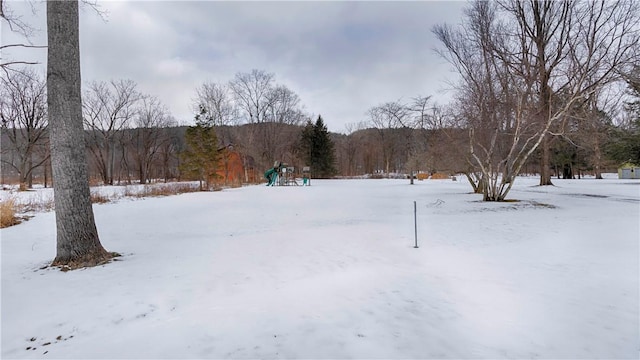 view of snowy yard