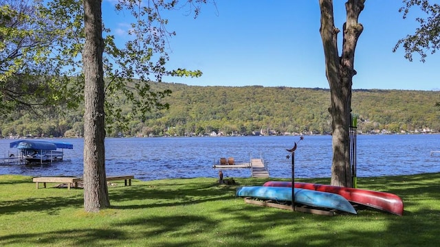 water view featuring a boat dock