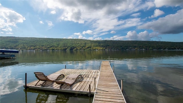 dock area with a water view