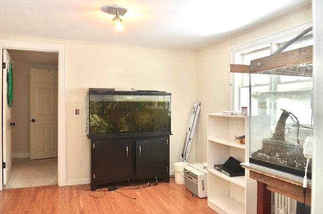 kitchen featuring ornamental molding, light wood finished floors, and baseboards