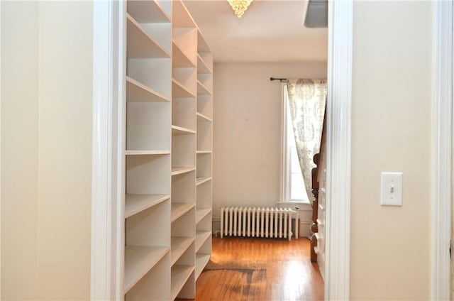 spacious closet with radiator and wood finished floors