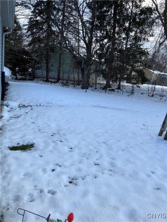 view of snowy yard