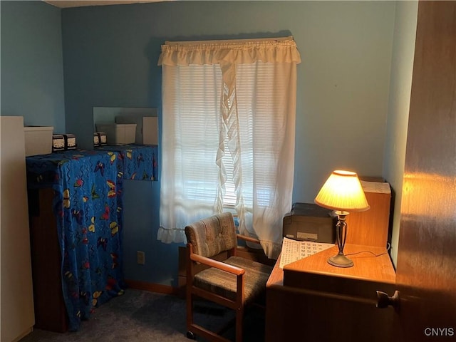 sitting room with carpet