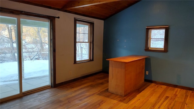 doorway with lofted ceiling, a wealth of natural light, and wood-type flooring