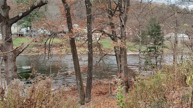 view of water feature