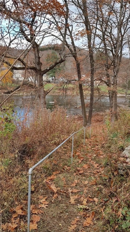 view of yard with a water view