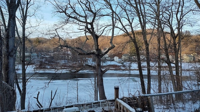 view of water feature