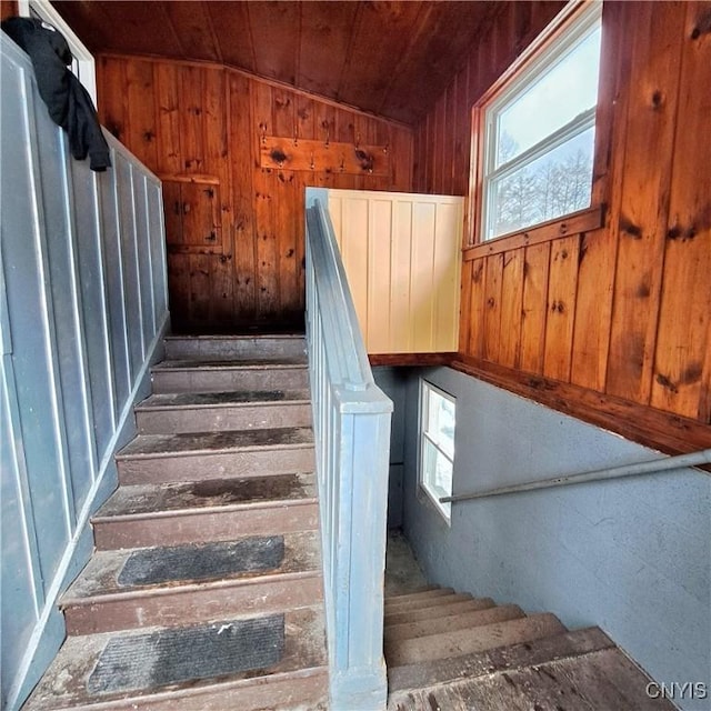 stairway with lofted ceiling, wood ceiling, and wood walls