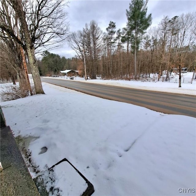 view of yard covered in snow