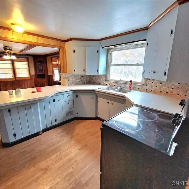 kitchen featuring tasteful backsplash, ornamental molding, light hardwood / wood-style floors, and sink