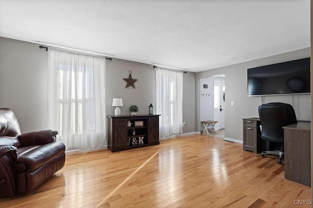 living room with light hardwood / wood-style floors