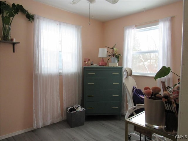 home office featuring hardwood / wood-style flooring and ceiling fan