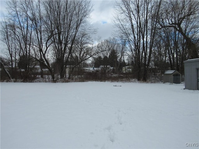 view of snowy yard