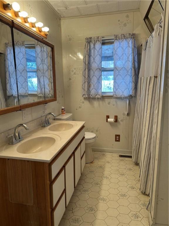 bathroom with vanity, toilet, and walk in shower