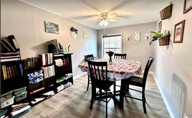 dining space featuring hardwood / wood-style floors and ceiling fan