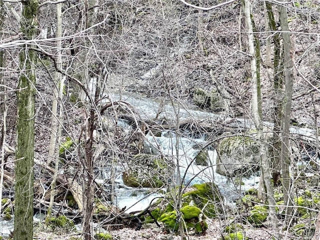 view of local wilderness with a water view