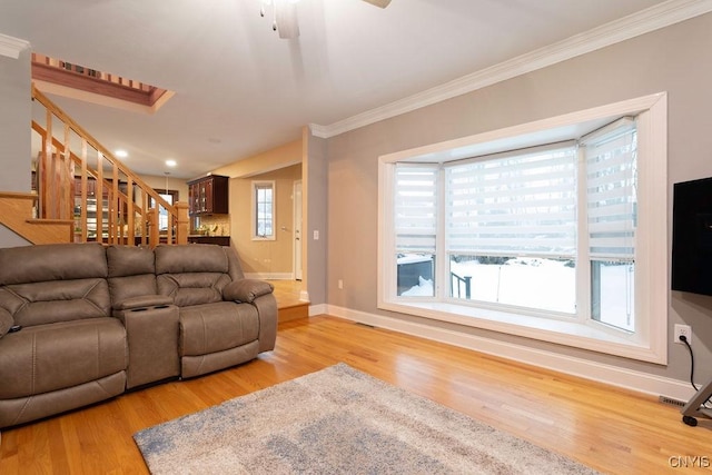 living room featuring crown molding, light hardwood / wood-style flooring, and ceiling fan