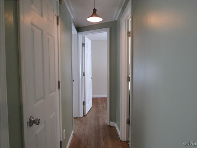 corridor with wood-type flooring