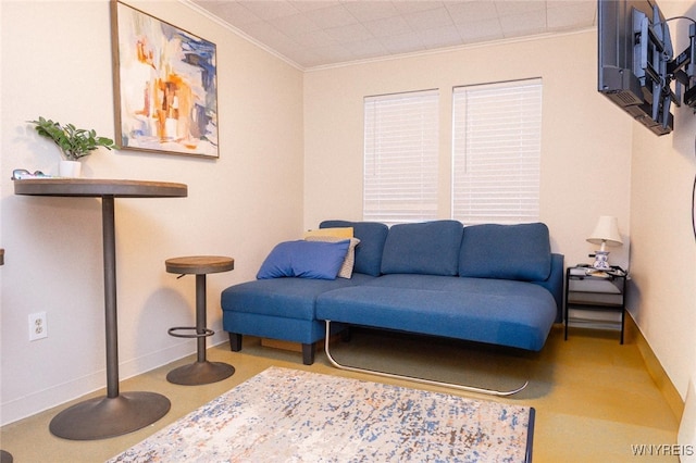 living room featuring crown molding