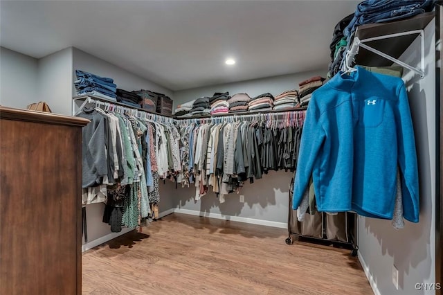 walk in closet with hardwood / wood-style flooring