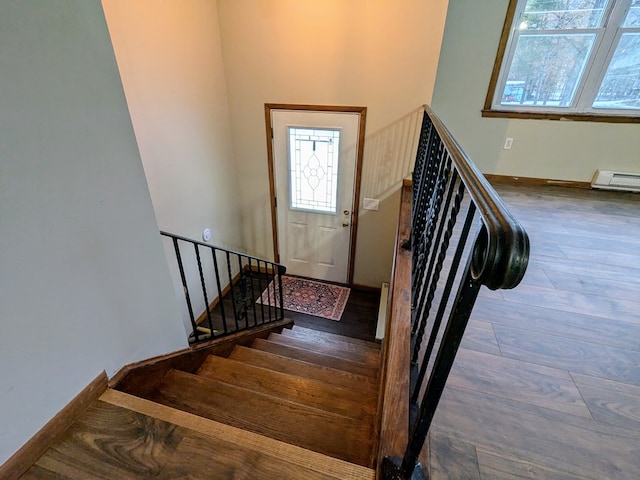 staircase featuring wood-type flooring