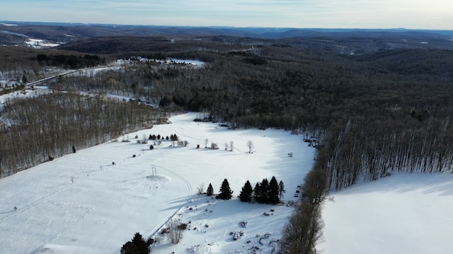 45 Kronus Rd, Erin, NY 14838
